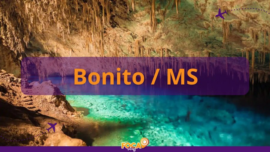 Bonito
